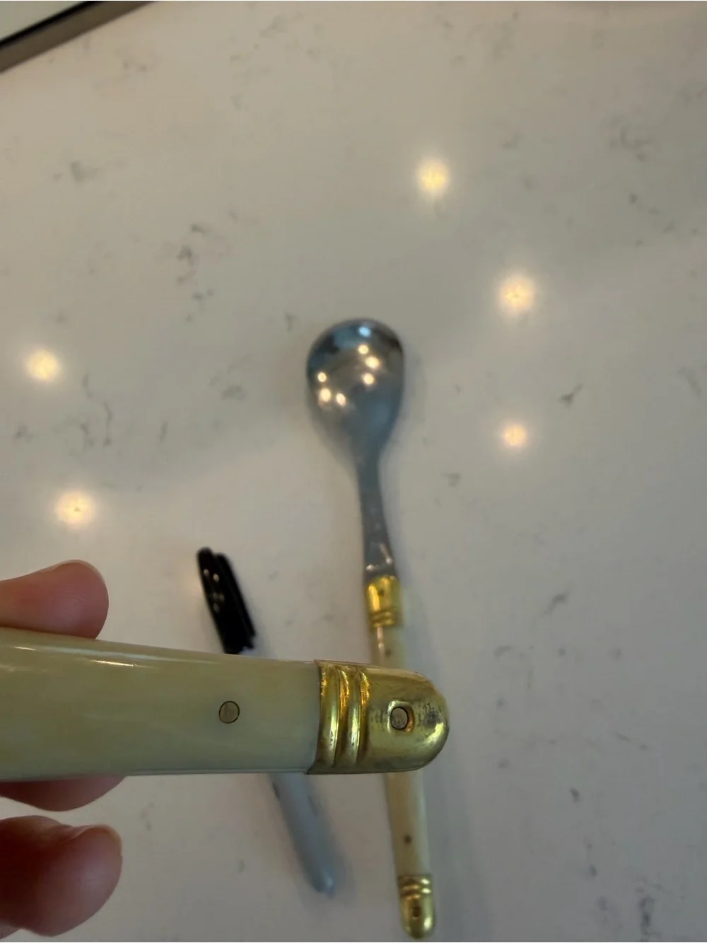 Set of 2 Laguiole Serving Spoons